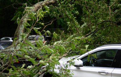 michael-jin-mCj7atG0nEc-unsplash michael-jin-mCj7atG0nEc-unsplash